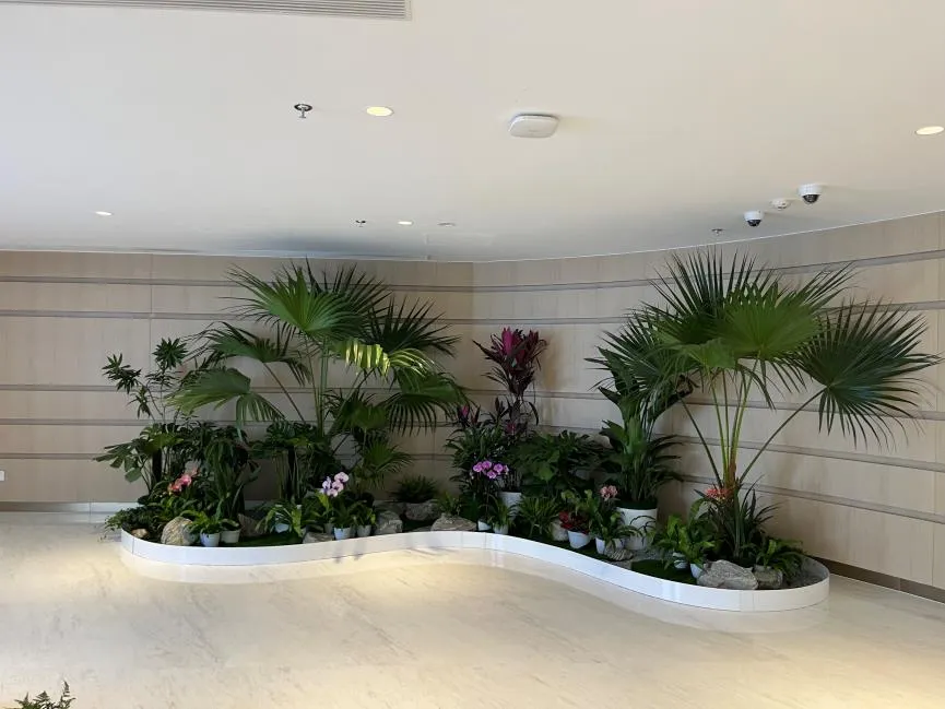 宁波奉化花木租赁设计